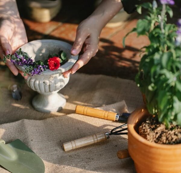 Optimize Your Growth 7176386036 Digital Tools