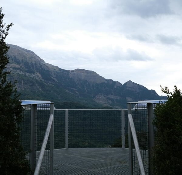 enhance your online services