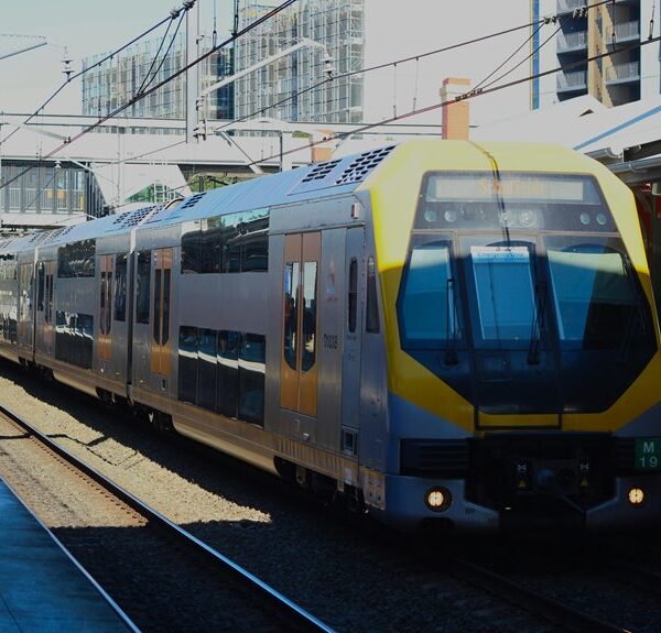 optimize online services platform